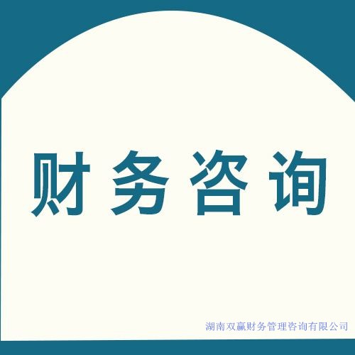 財(cái)務(wù)咨詢